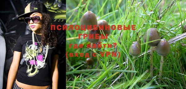 PSILOCYBIN Богородск