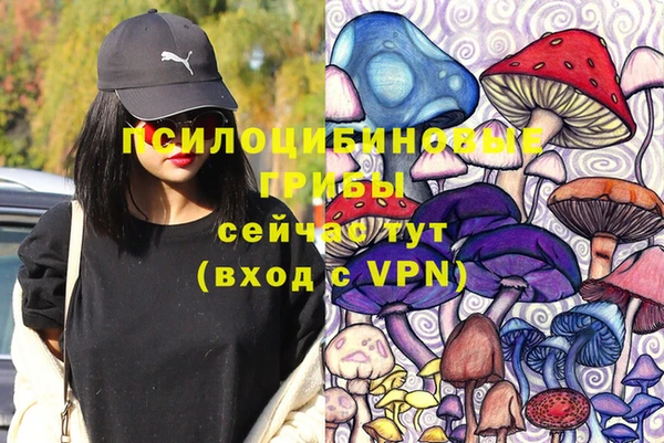 прущие грибы Богородицк