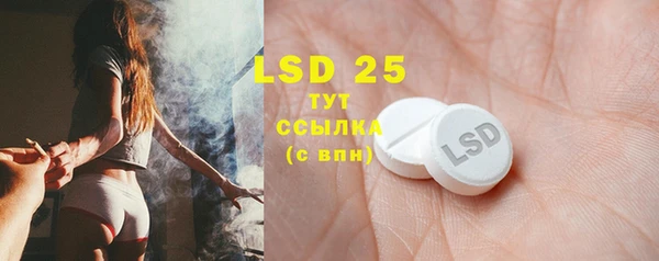 прущие грибы Богородицк