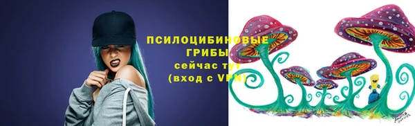 ешки Богданович