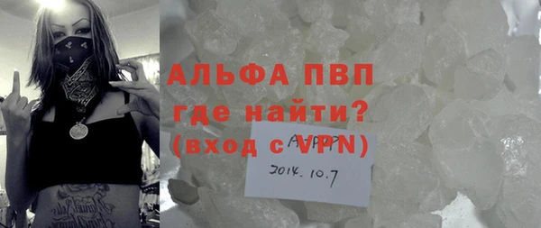 прущие грибы Богородицк