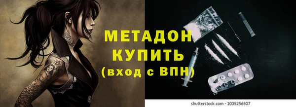 прущие грибы Богородицк