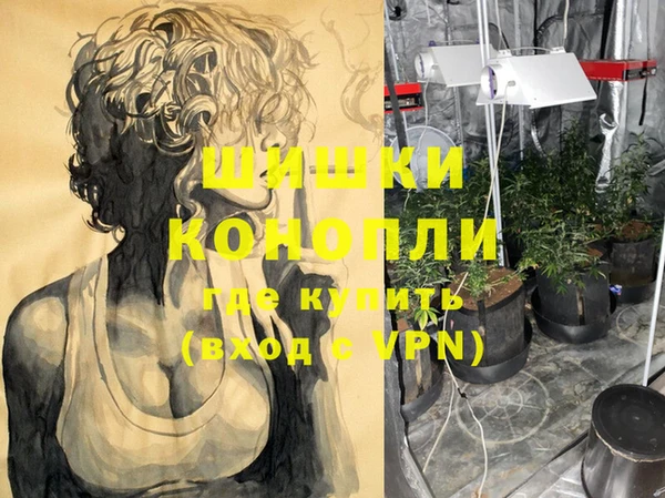 ешки Богданович