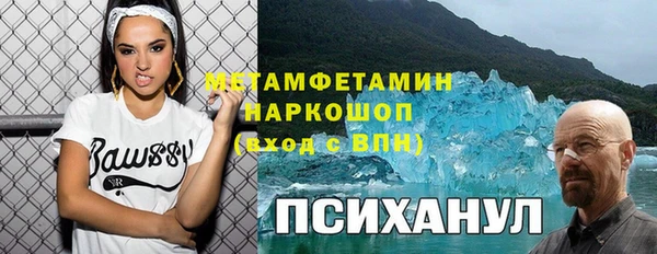 прущие грибы Богородицк
