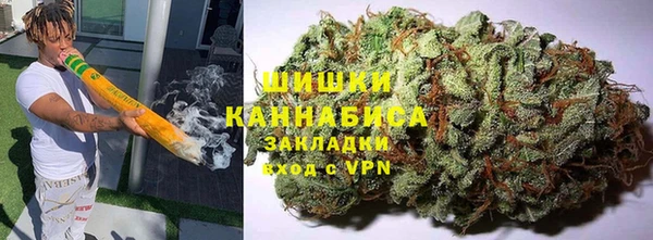 прущие грибы Богородицк