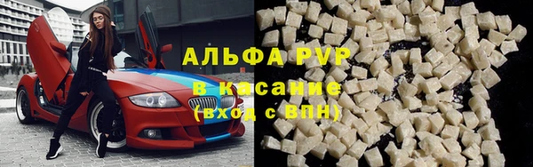 прущие грибы Богородицк
