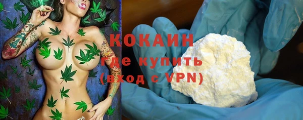 прущие грибы Богородицк
